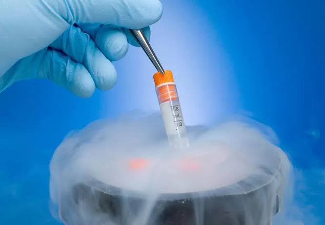 Egg Freezing: Preserving Fertility for the Future