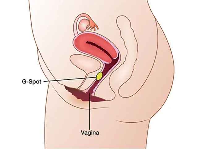 G-Spot Augmentation