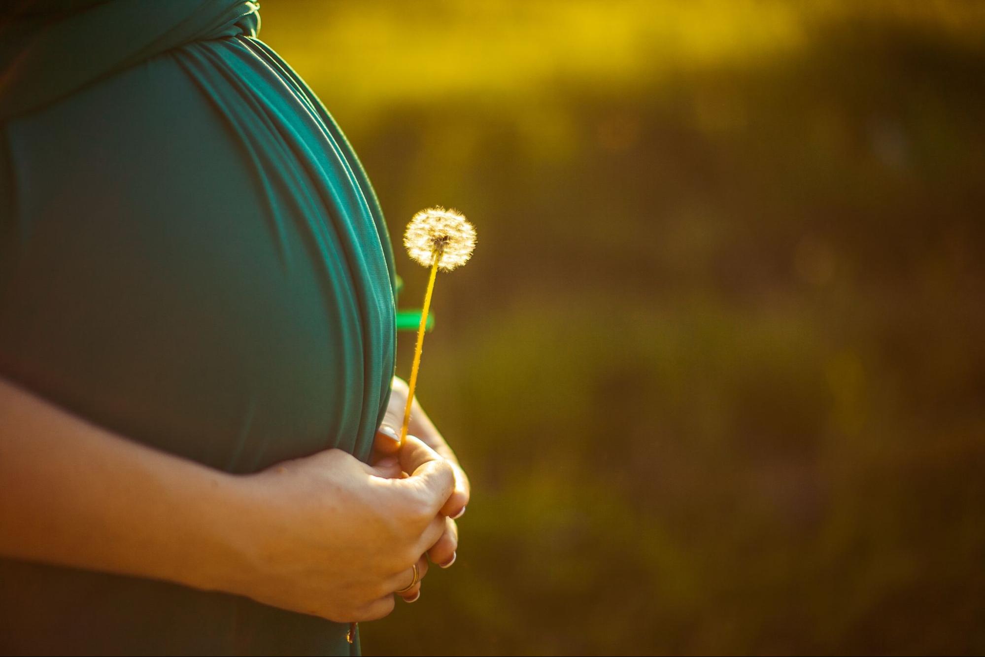 The Impact of Environmental Factors on Reproductive Health